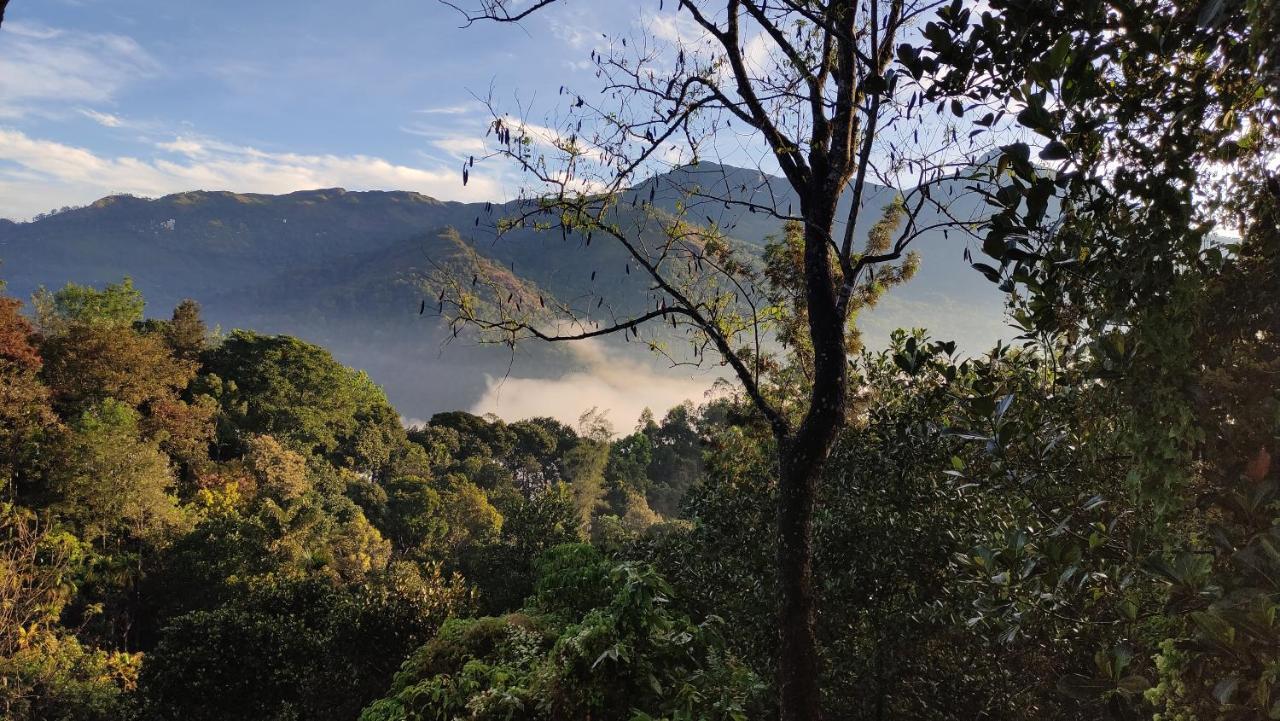 Green Tea View Munnar Exterior photo