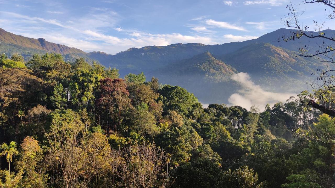 Green Tea View Munnar Exterior photo